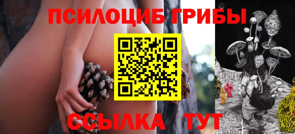 Нижний Новгород  Псилоцибиновые грибы мухоморы  Галлюциногенные грибы мухоморы  где найти   Вход с VPN 